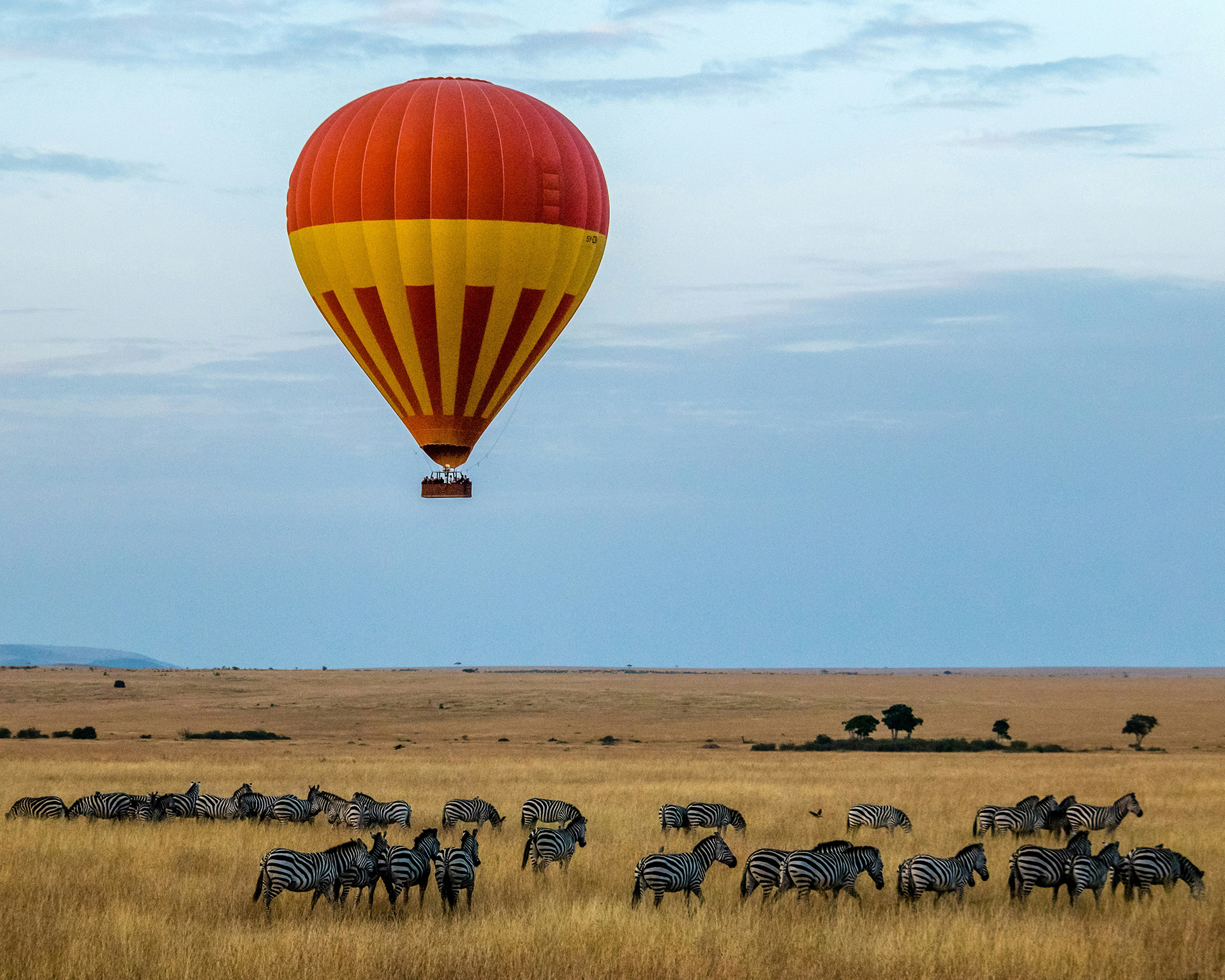 Hot air balloon over African savanna